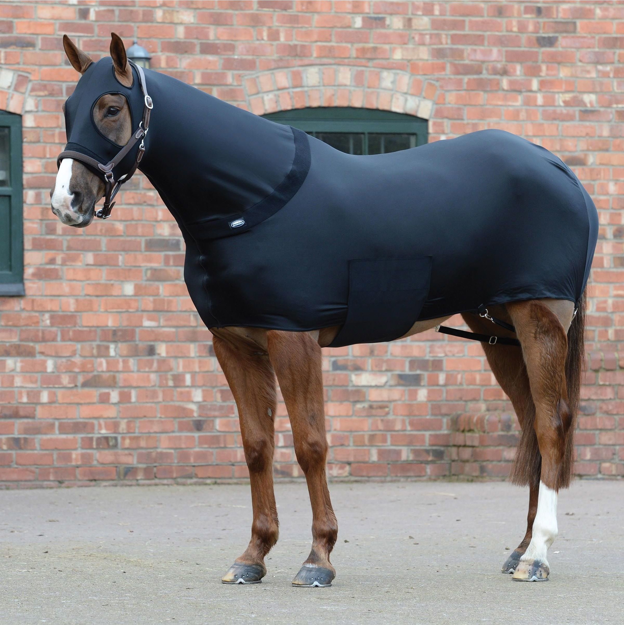 Weatherbeeta Stretch Rug 589531 - Black